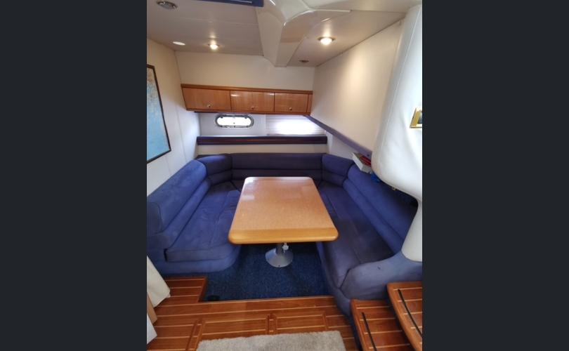 Sealine F43 YERO-kuva-7